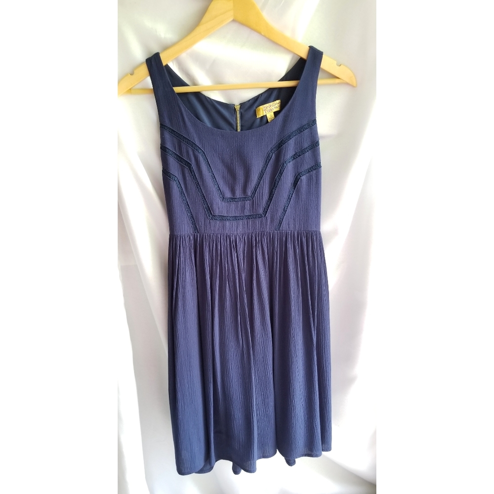 Navy Blue Vera Wang Princess Dress
